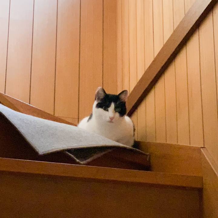 Bec05de9 c327 41f3 aaff 00cc8cec6326 1576202298043