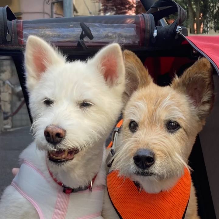 Bec09e92 d9d3 43db 9c3e 5e700da38a11 1762842710927