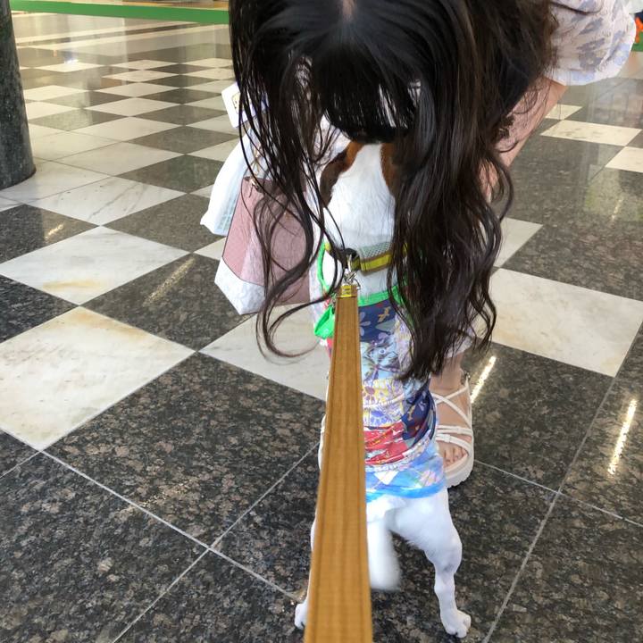 Bec0cfd6 9f91 4054 8068 8a00d0c5126d 1597895246846