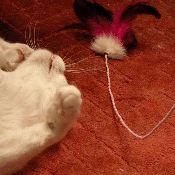 Bec0d50e ca84 4277 ba2f b457421ce8c1 1682715895670