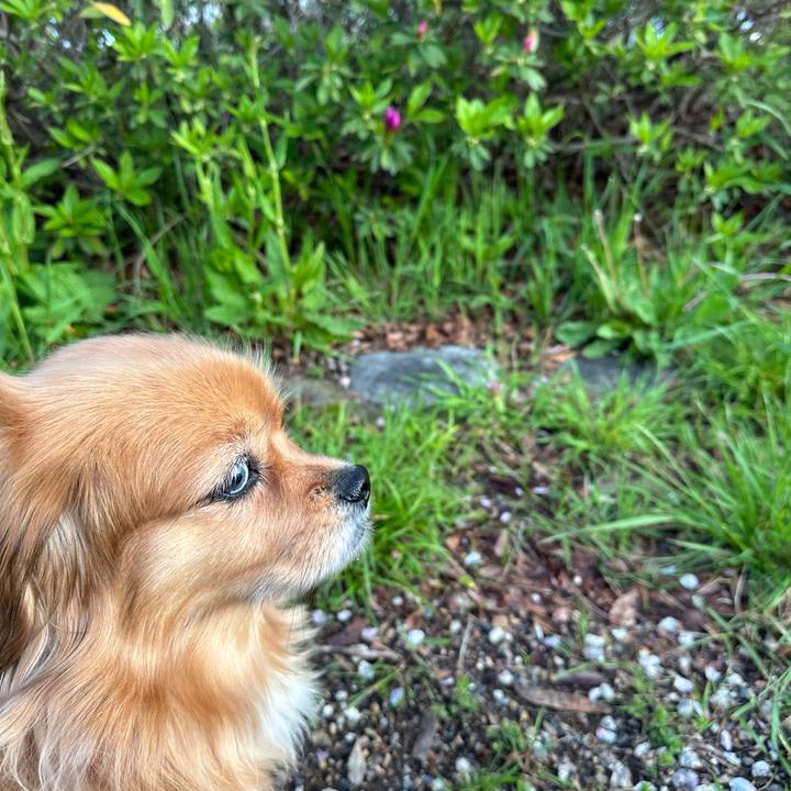 Bec0ea33 c5d8 4e34 ade4 7f8632b86757 1712782723814