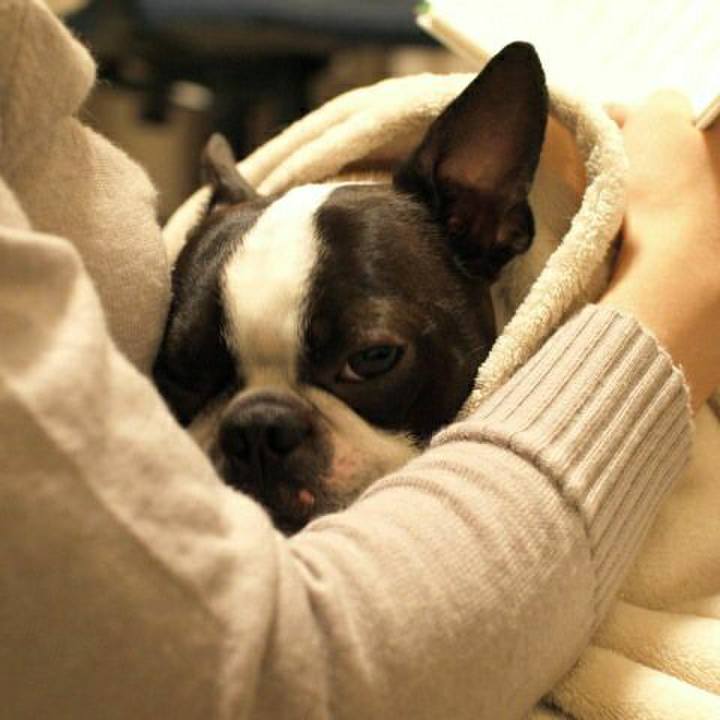 Bec12d4a d51e 4924 be62 c163500ebc21 1572516282959