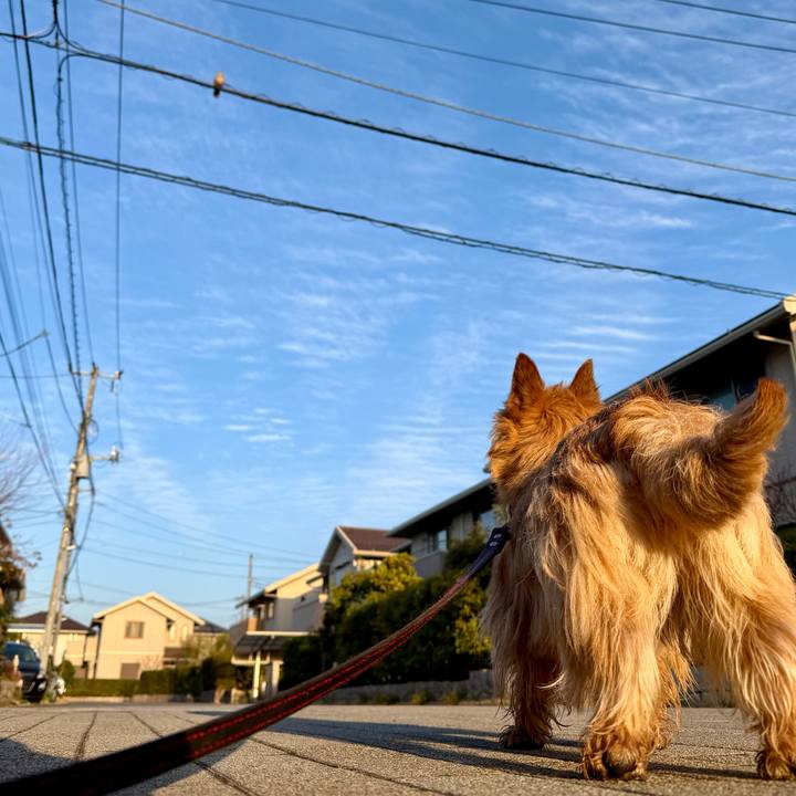 Bec14a03 6658 48b7 8a38 94f3c2f8333c 1774384924066