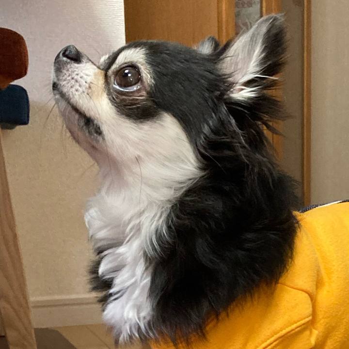 Bec16e85 7942 4ee4 ae59 e2191f001007 1674398605409