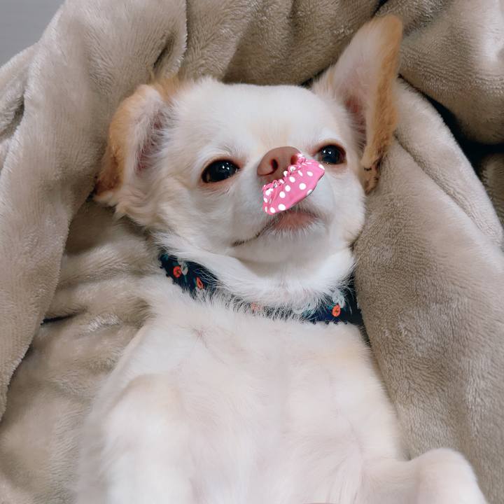 Bec17a24 a63c 4d1e 9ffe 27fb4967a332 1725020961288