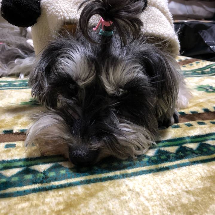 Bec1857a fbba 4f60 9f7d d5f111e4cc4b 1552858124900