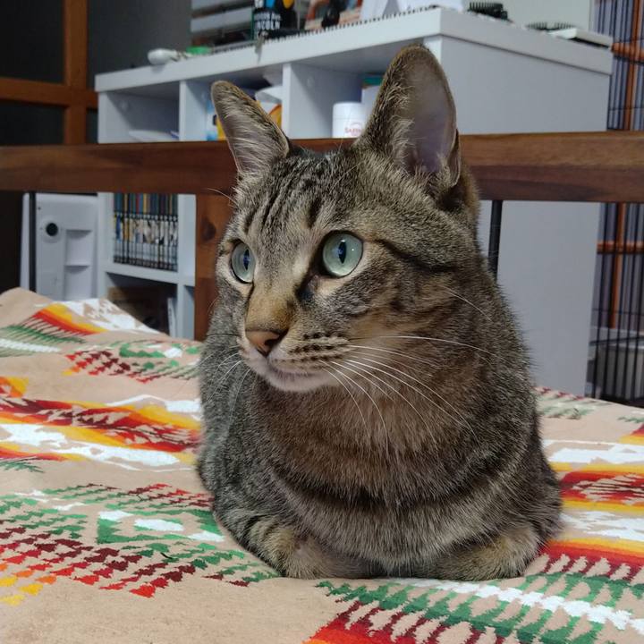 Bec1a1d9 8f17 4eaa b3ad a447b5e777c6 1625040046089