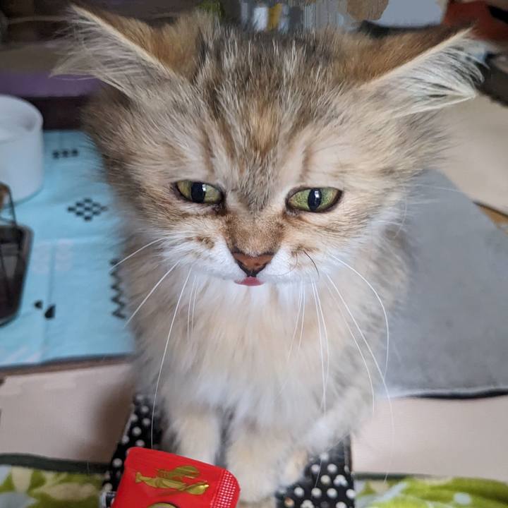 Bec1d6d5 4cc1 453f aa81 c20f1fc167ec 1687476853388