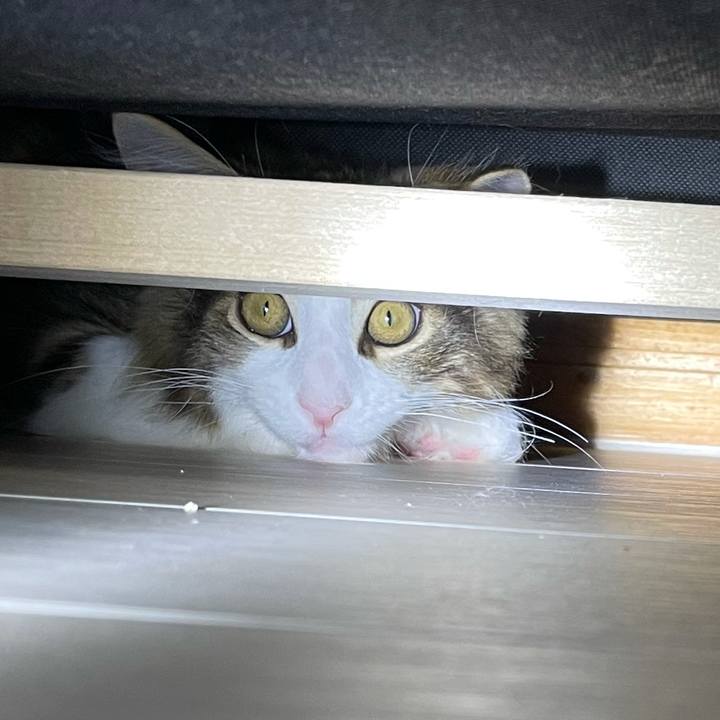 Bec1ea65 fb16 4d7b 86e7 dfefea54f1d9 1634644933180