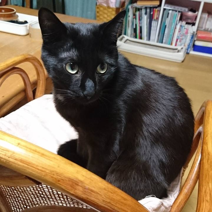 Bec20494 1904 49b3 b20d d1c3e598837c 1546257146682