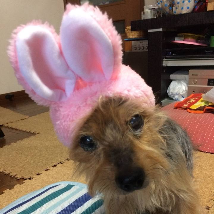 Bec2382f fc1e 428b aa03 b7cc0f15d728 1775052504335