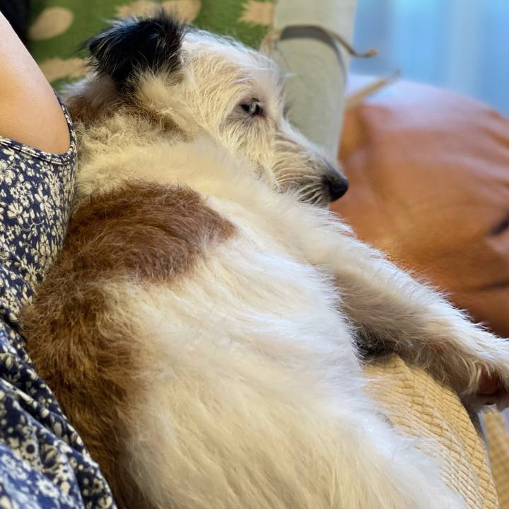 Bec25d06 f86c 4f8f a755 f3b4c548eb33 1659830145392