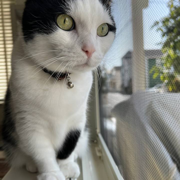 Bec25fd3 97d7 412d b483 b064c645d196 1772325093491