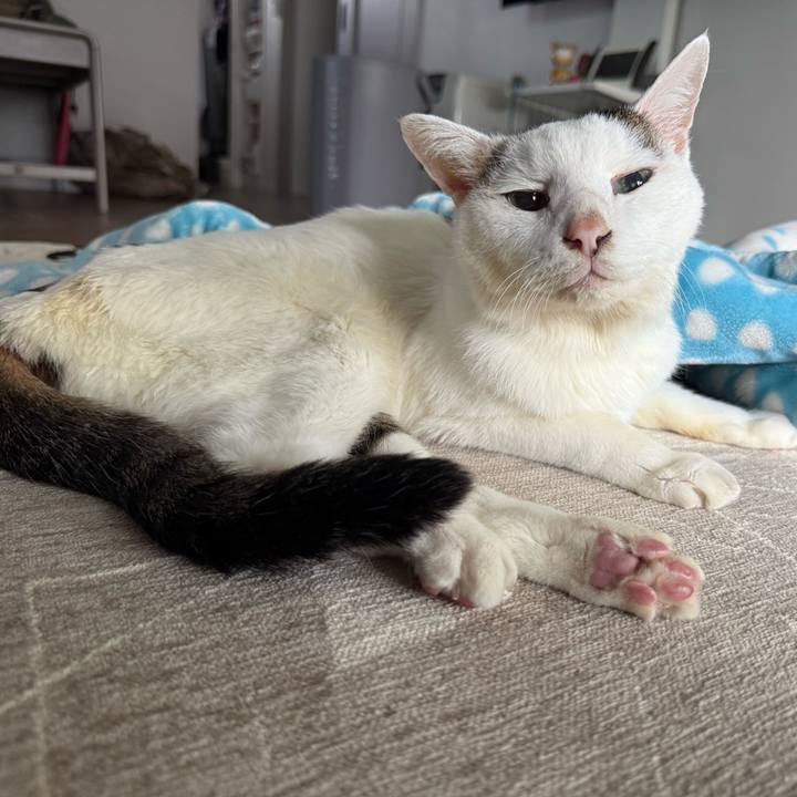 Bec26d2c 5908 4cba b696 19307380817a 1764379746137