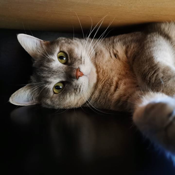 Bec27030 ffc7 4f4b a3c1 d3a9fe83dc04 1627355923075