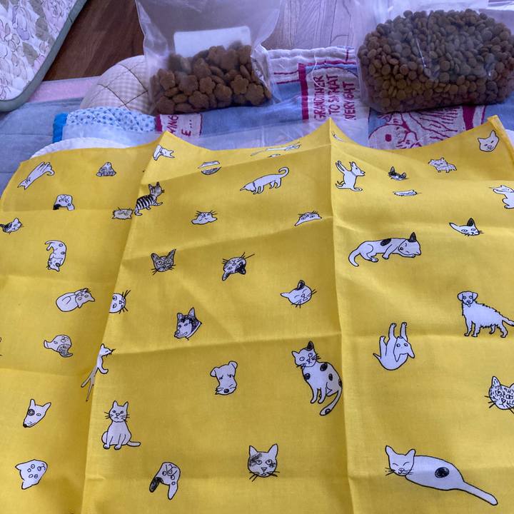 Bec2f4e1 0c4e 4ca1 89fb 73c5db5e708c 1628732576698