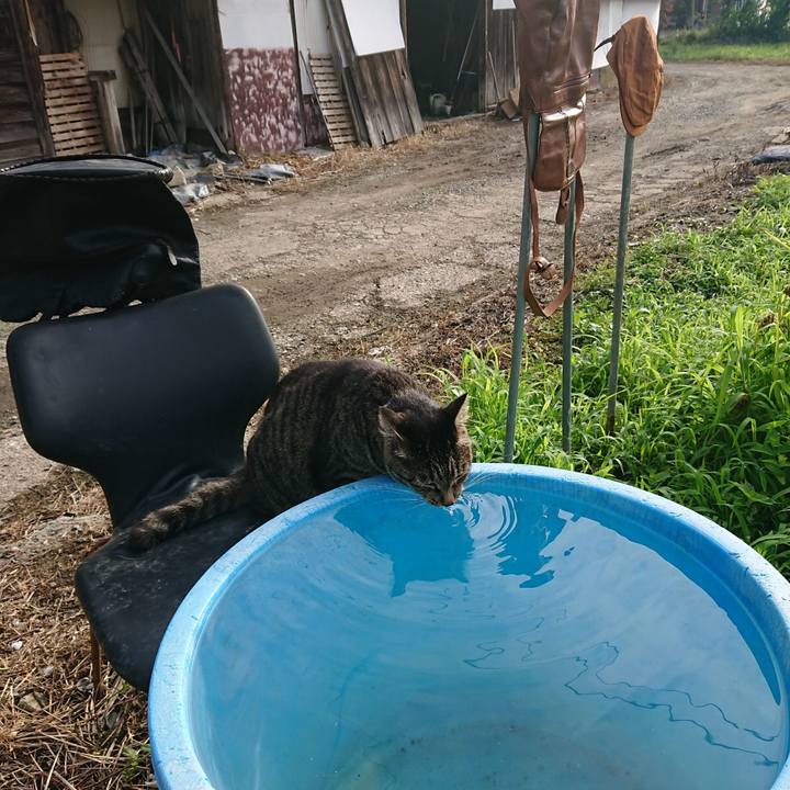 Bec30bcd e0ee 4024 9dd7 c8d656a101c5 1659736836840