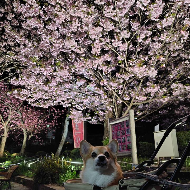 Bec31c1d 7236 4772 bd58 4037714ef4e4 1776587940431