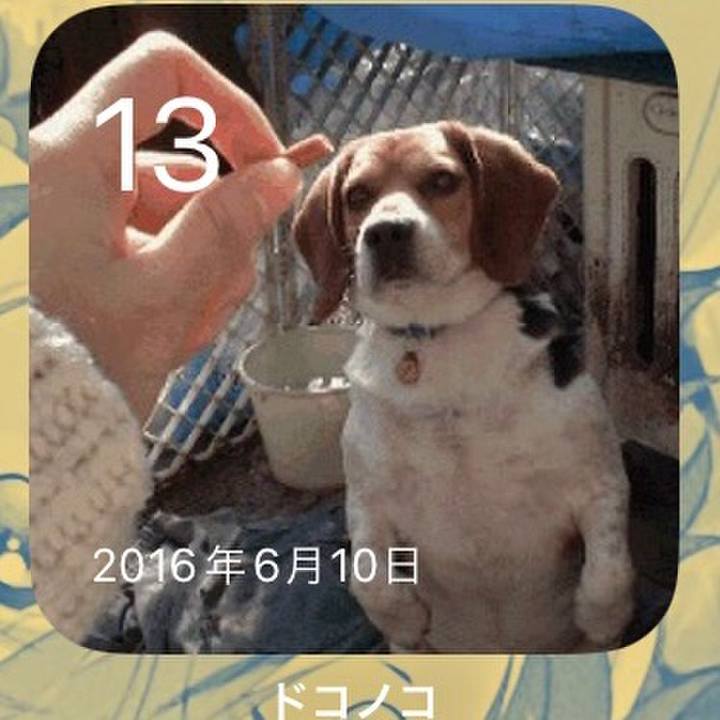 Bec344f7 fefb 4c26 ac4b a76c22b610a2 1686610789524