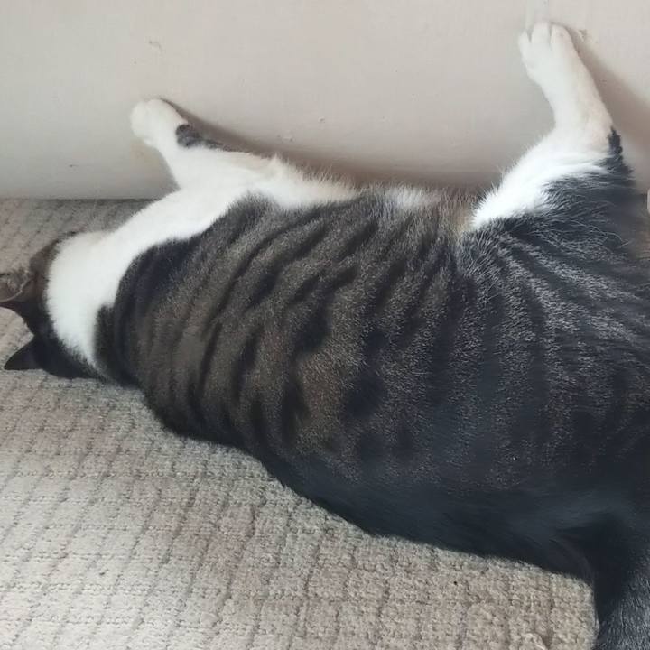 Bec36854 ca2b 4035 9839 c9a13265e245 1619310568353