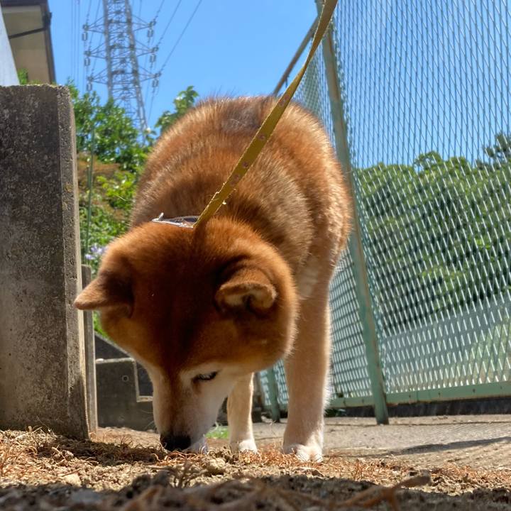 Bec38f82 9f6c 4b3c b83b c9e5d7ac7e78 1656118970540