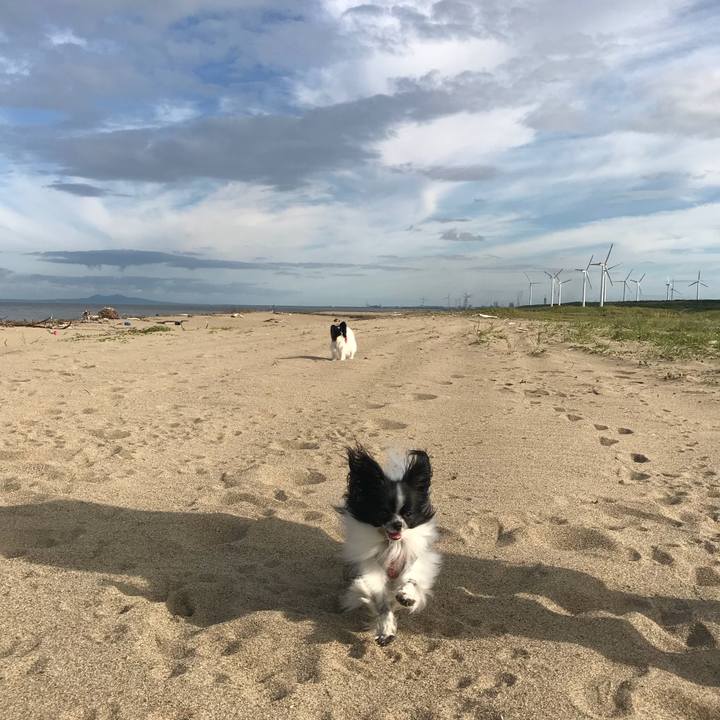 Bec3b639 2484 4c03 b37d 6e4851ac40f9 1534595585309