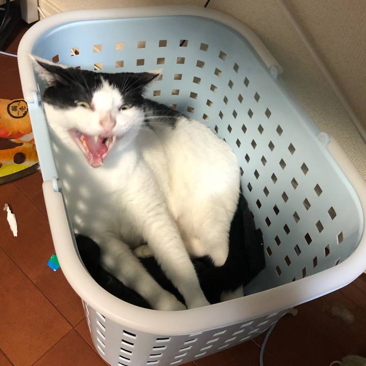 Bec3c203 a830 47a3 a0e6 31c6cb14f2a9 1568815348348