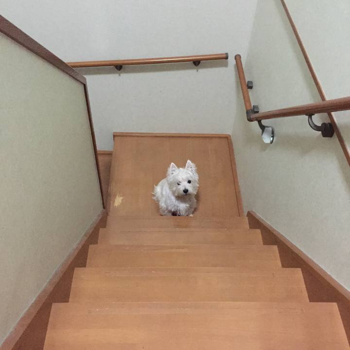 Bec3d5f8 51cf 4a0f 9ea0 221af0a7ed50 1526039231255