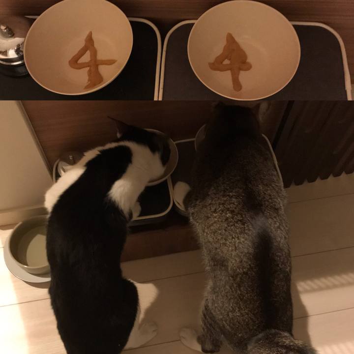 Bec3d859 c908 4e49 abea edc282c01e41 1590750635491