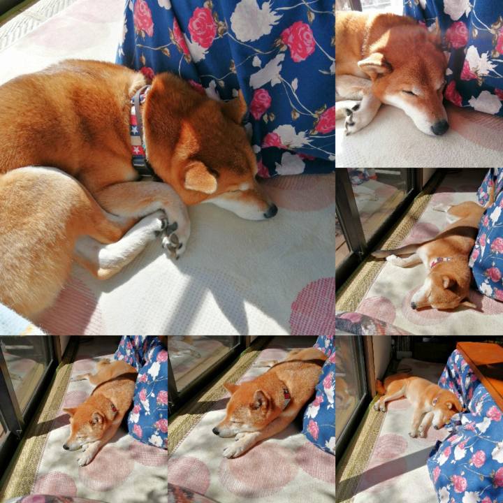 Bec3fe8b a13a 4939 89a4 2a7fedc0a102 1646542743446