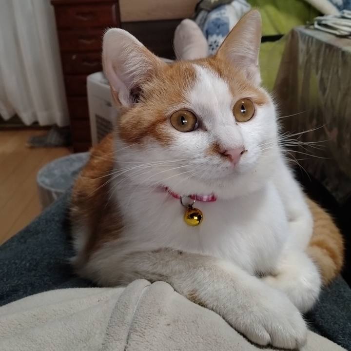 Bec42afa ecaa 4918 9a89 10d162b4381d 1740301951278