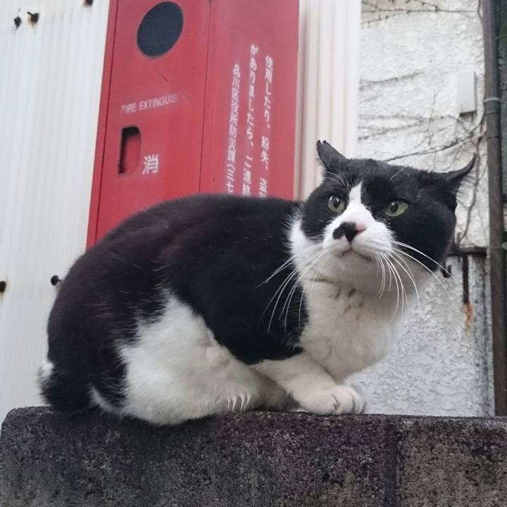 Bec42b17 68be 4932 8219 6ec14bfef19c 1516435170292