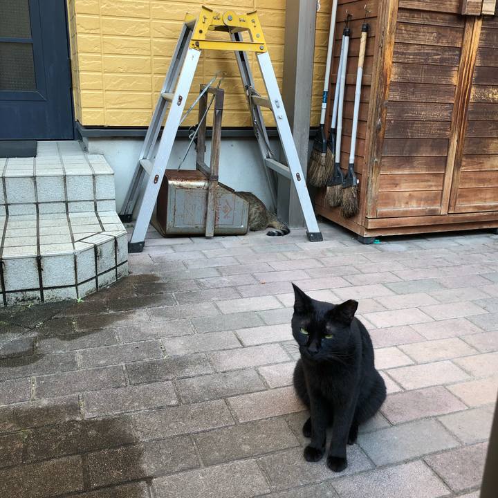 Bec43ed7 b81b 4555 b785 2ac351045733 1565554429228