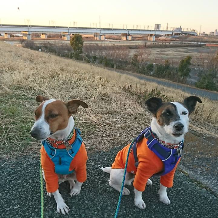 Bec47ddb ef6b 4bf3 9b34 358aaf4cbae5 1612095766181