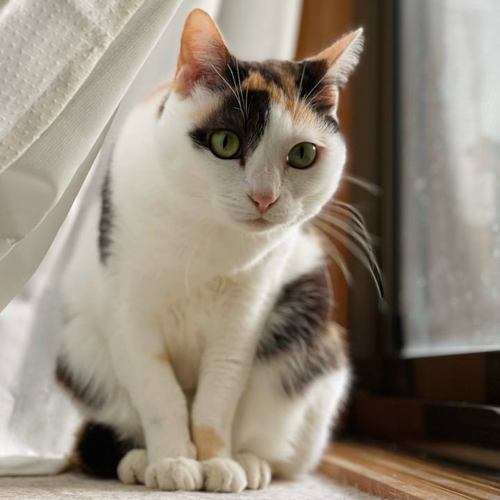 Bec49af7 7e57 48a5 a120 1befcace83b5 1641698721064