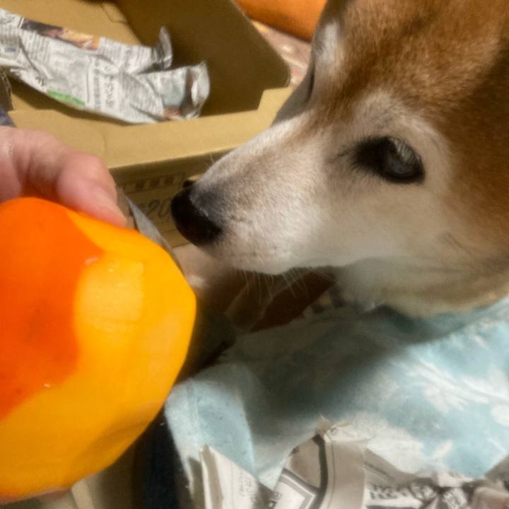 Bec4b427 cffb 4f79 81d2 caf41bbfea0a 1764735701080