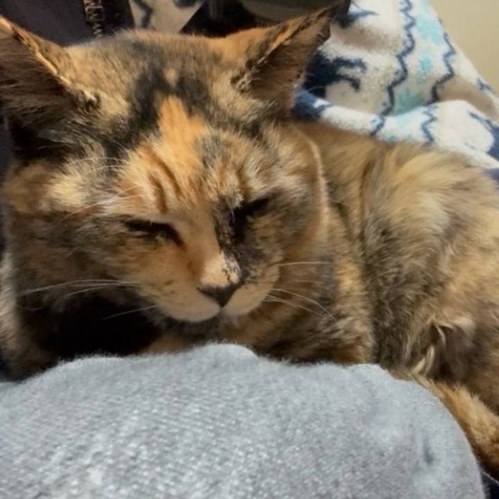 Bec5634d 7264 48aa a5fb e5bc36a772bf 1767445798075