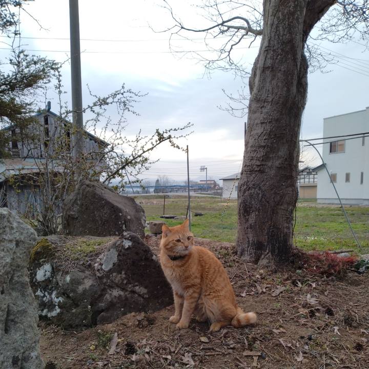 Bec5855f fa46 4ac2 8b73 155c78f9d99e 1680735044412