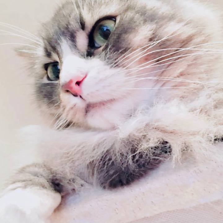 Bec58c32 62dc 4540 a04a a9d49a4f6f6d 1631034031208