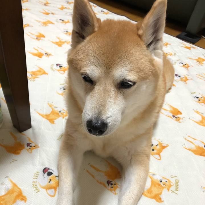 Bec598ee cb13 4510 988c b42e7e97571d 1603264064974