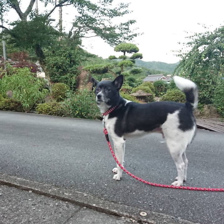 Bec60a75 dfc2 4a23 8e8e f43a1b8bd052 1626520622060