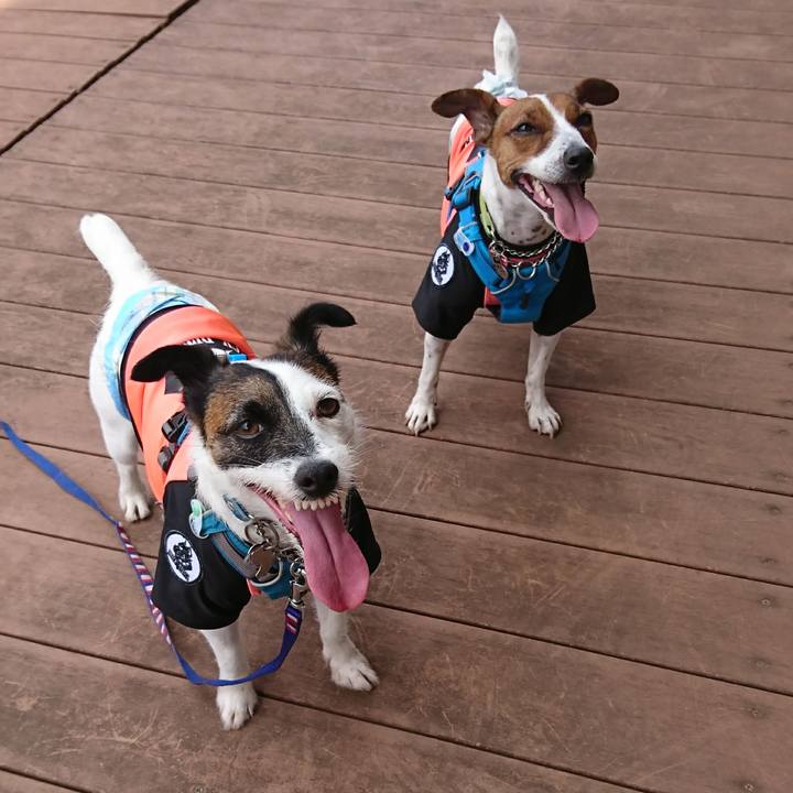 Bec65878 f8ca 4364 ae07 afdc2d7c8f5a 1591587276758