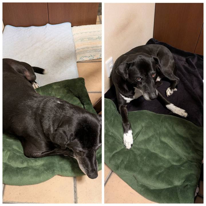 Bec665a5 99ec 420e 8e84 8a347eab0466 1761083904240