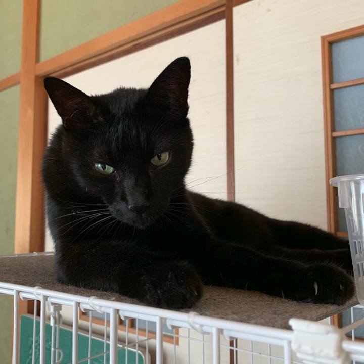 Bec6ab30 3ee6 4861 b46b 26b96c12e791 1570064613454