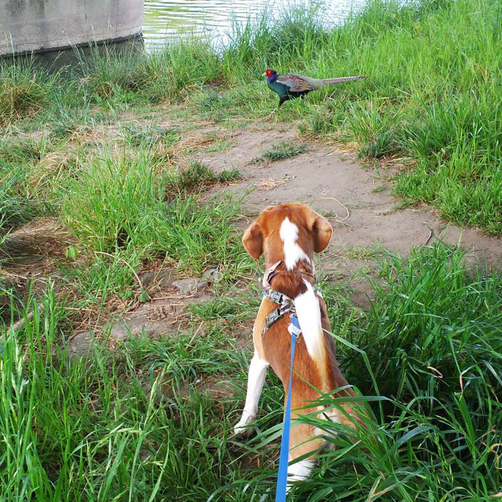 Bec72ca2 ad94 4b60 9717 094466789456 1557031311810