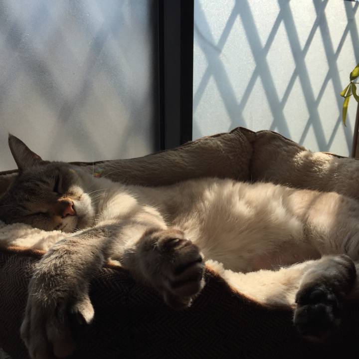 Bec7661a 5d06 43e3 ad78 1305721c1ae9 1521008402147