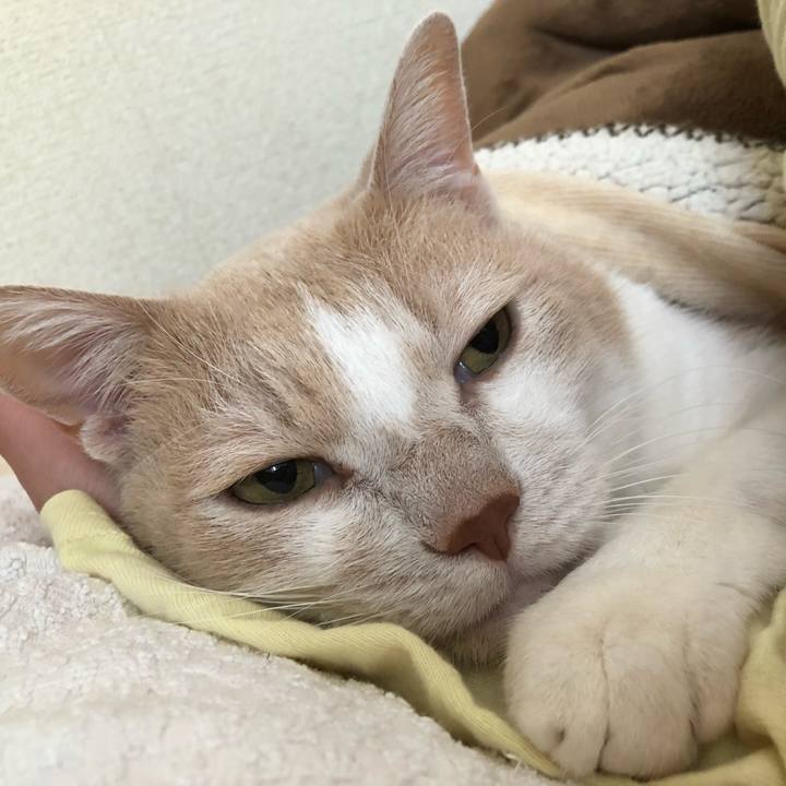 Bec76c09 af56 4cb7 867c 5e2b01e1c1c7 1574552759553