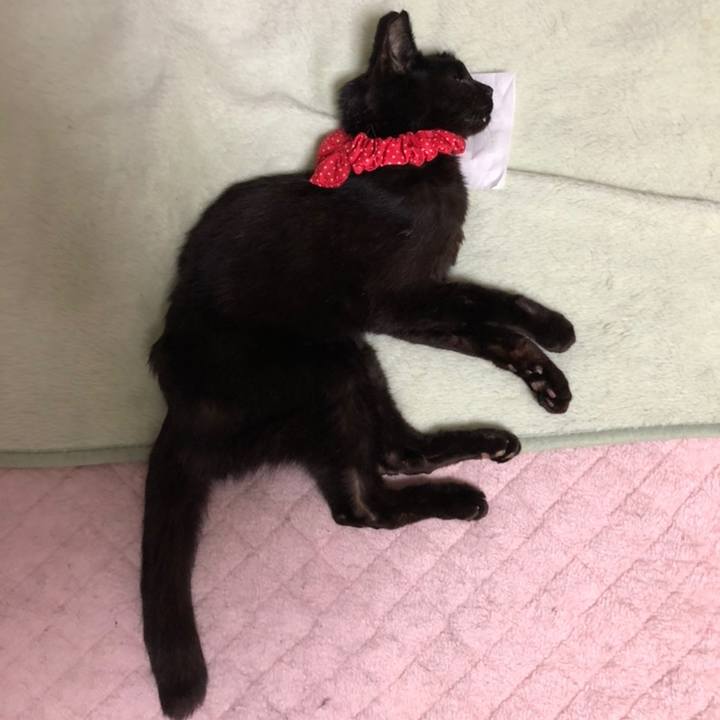 Bec7957b 09e2 44de a4d1 dd0fd36a9e38 1558705299577