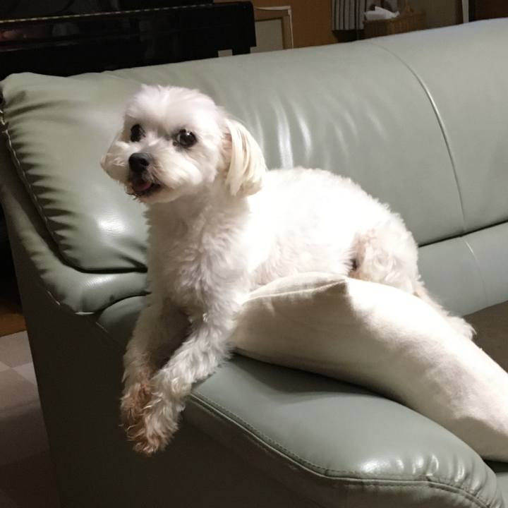 Bec7b795 a2ac 4de0 8e3d b7ce2938b330 1596879721131