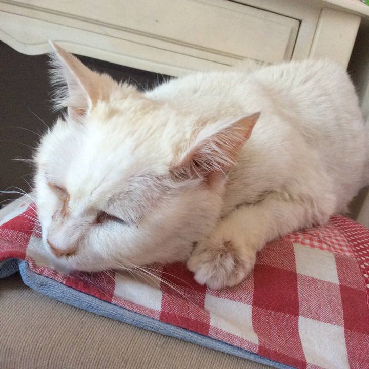 Bec7dd73 5bdb 4b0e 888c e8c2a76ffdf1 1534323935066